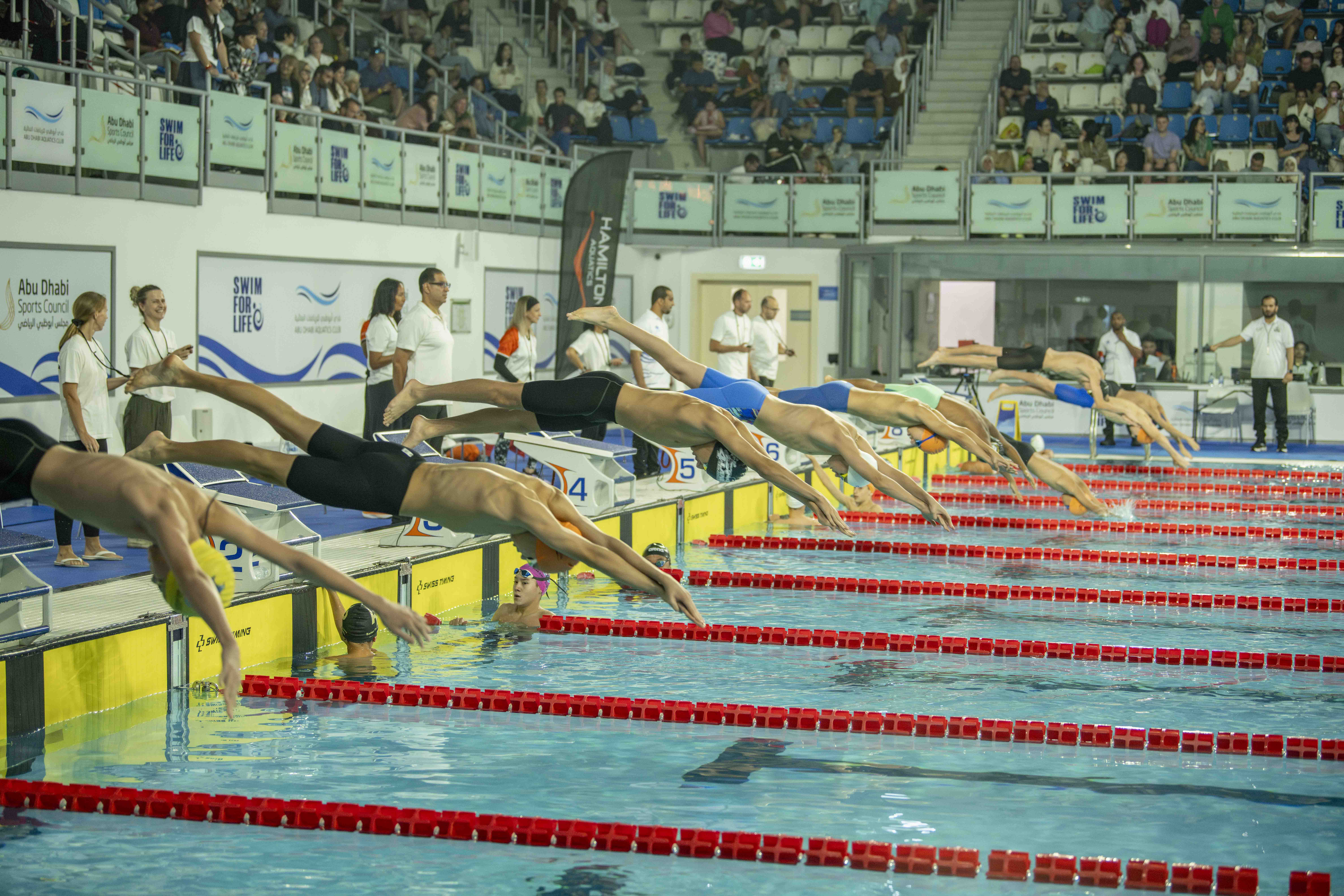 Hamilton Aquatics Winter Wonder 2025 - 2026