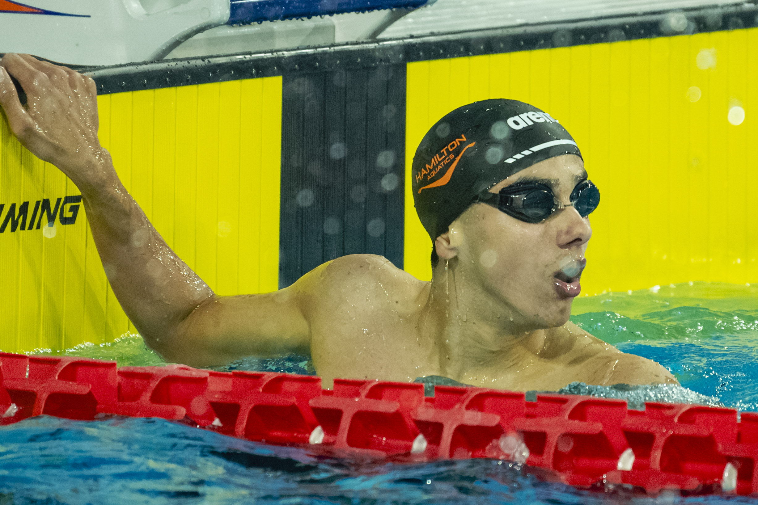 Hamilton Aquatics Winter Wonder 2025 - 2026