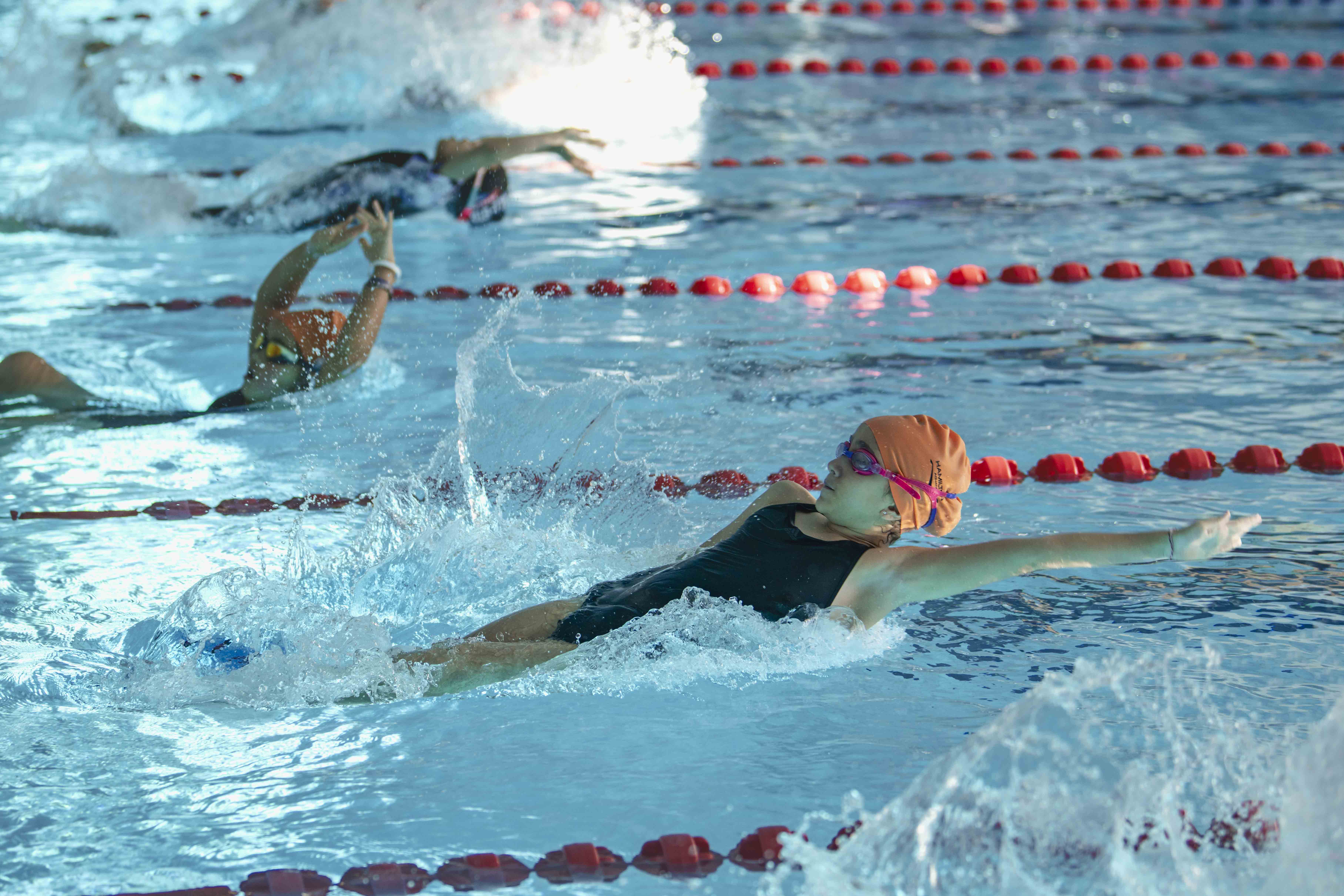 Hamilton Aquatics First Series 2025 -2026