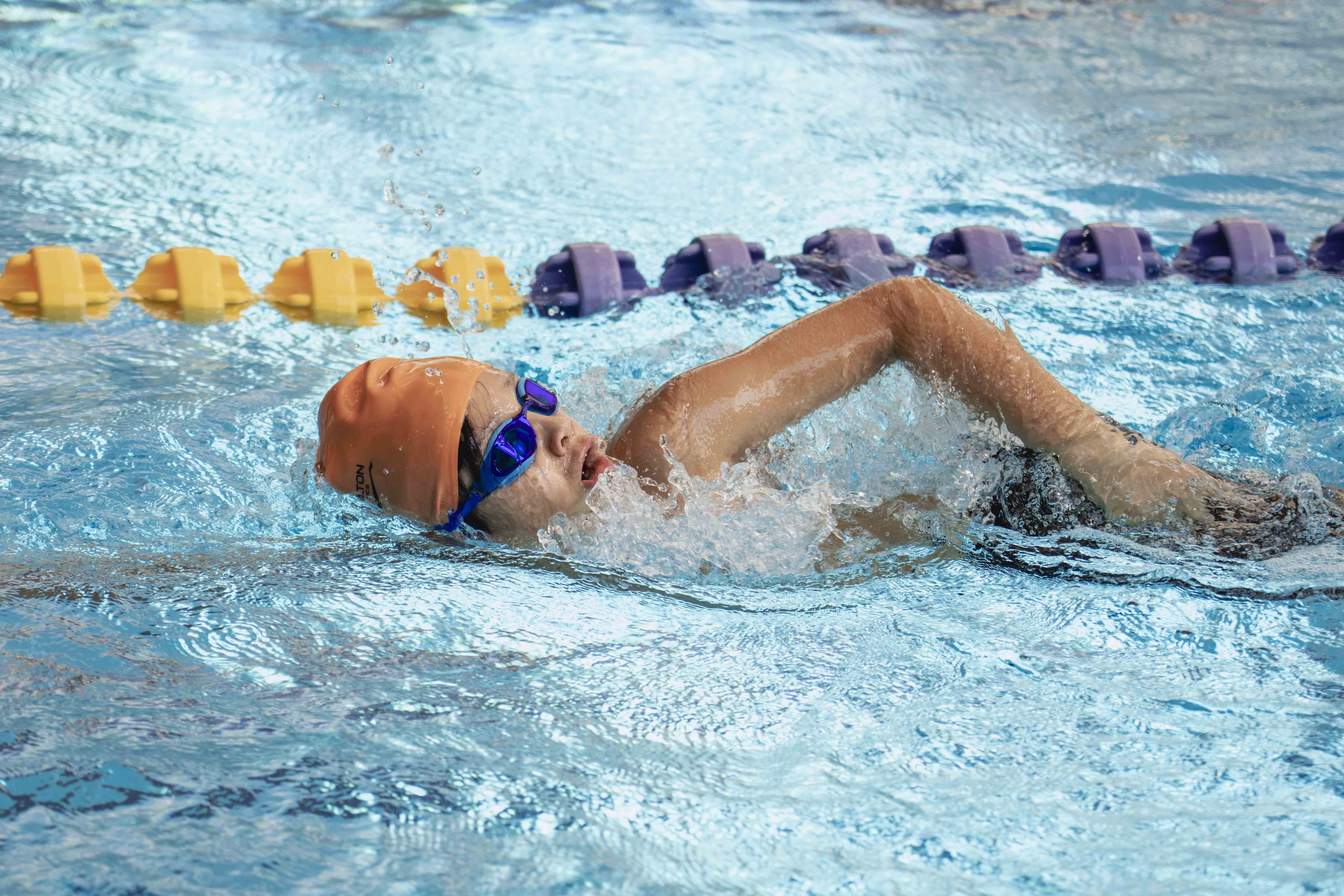 Hamilton Aquatics First Series 2025 -2026